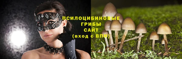 шишки Верхний Тагил