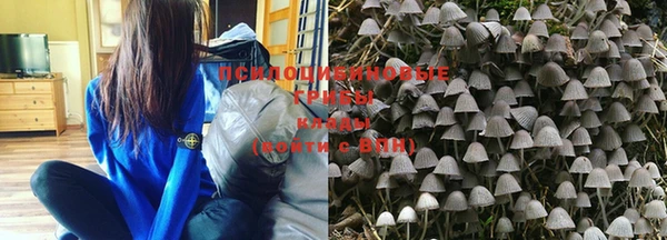 шишки Верхний Тагил