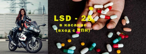 крисы Верея