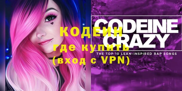 шишки Верхний Тагил