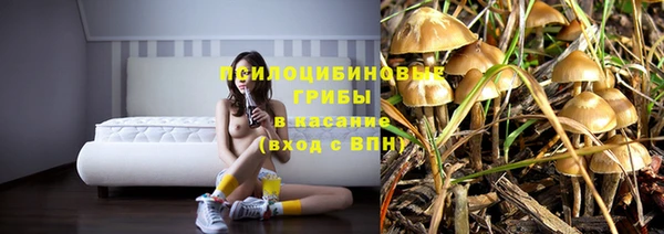 крисы Верея
