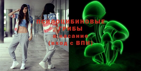 шишки Верхний Тагил