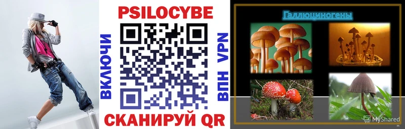 Купить закладки  Сланцы  Псилоцибиновые грибы Psilocybe 